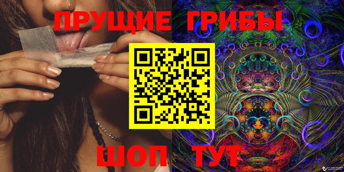 Псилоцибиновые грибы мицелий Урюпинск