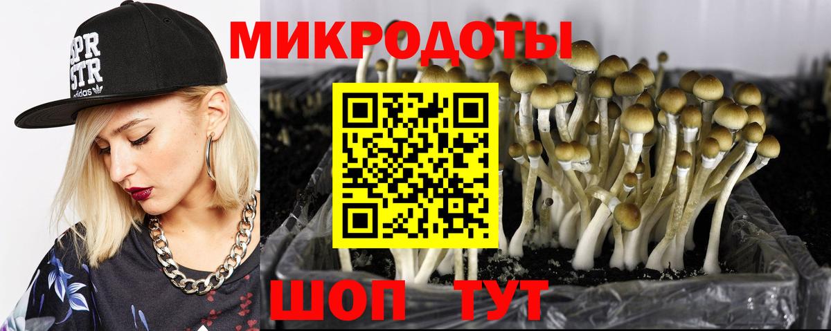 Урюпинск  Галлюциногенные грибы MAGIC MUSHROOMS  Вход с VPN 